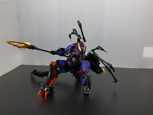 ANMP0009