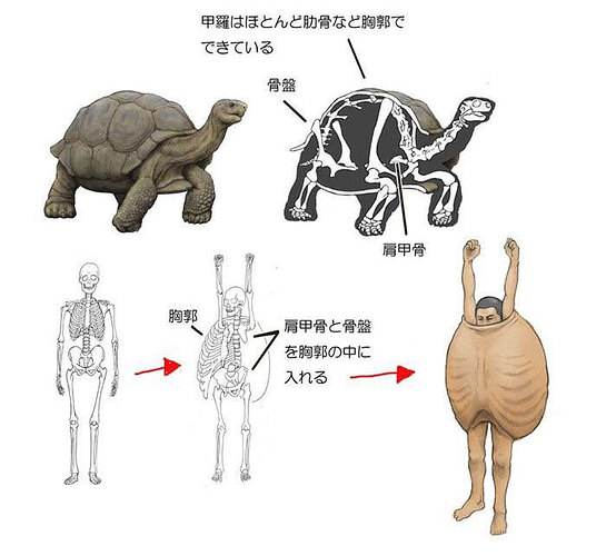 hilarious-science-diagrams-23-60782d3ec298c__700