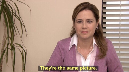 The Same Picture