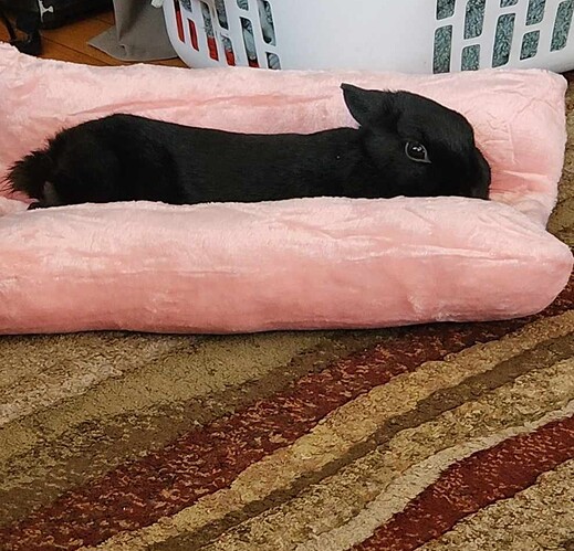 received_1804711823424048