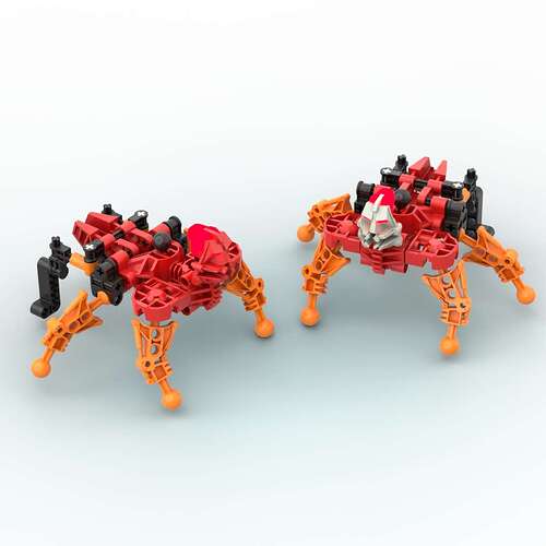 Ember-Dwelling Spider Ant