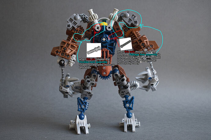 04_back_annotated