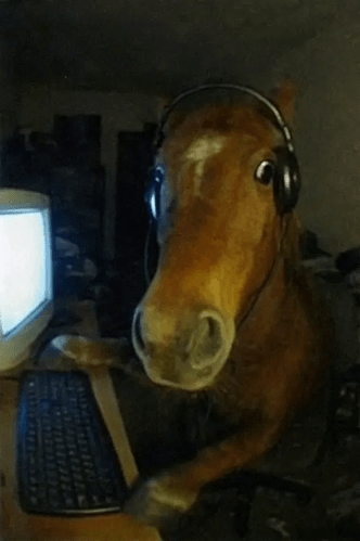 horse gaming