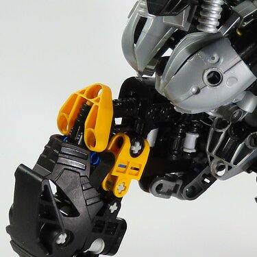 Knee01