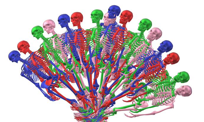 skele ton maybe