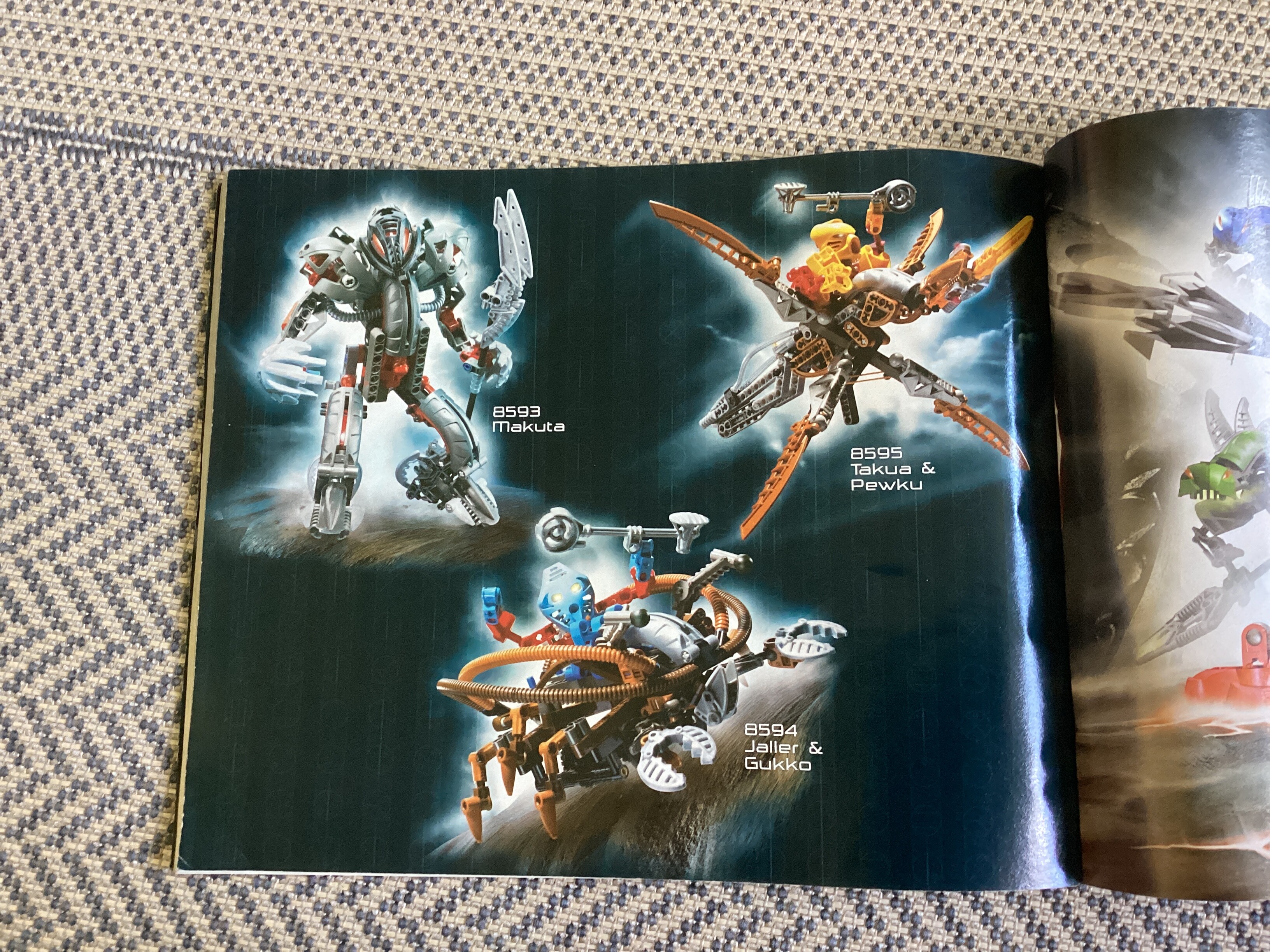 The Packaging/Promotional Art/Instruction Booklet/Book