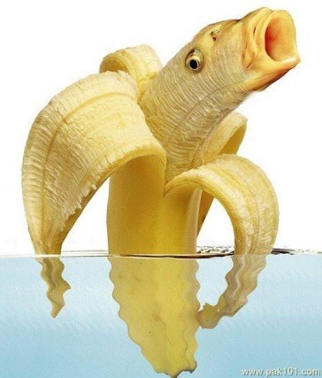 banana-wwwpak101com