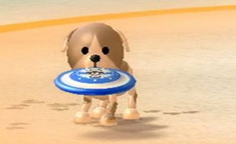 wiisportsdog