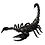 DesertScorpion4