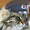 Meowfyre