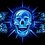 skelly_head